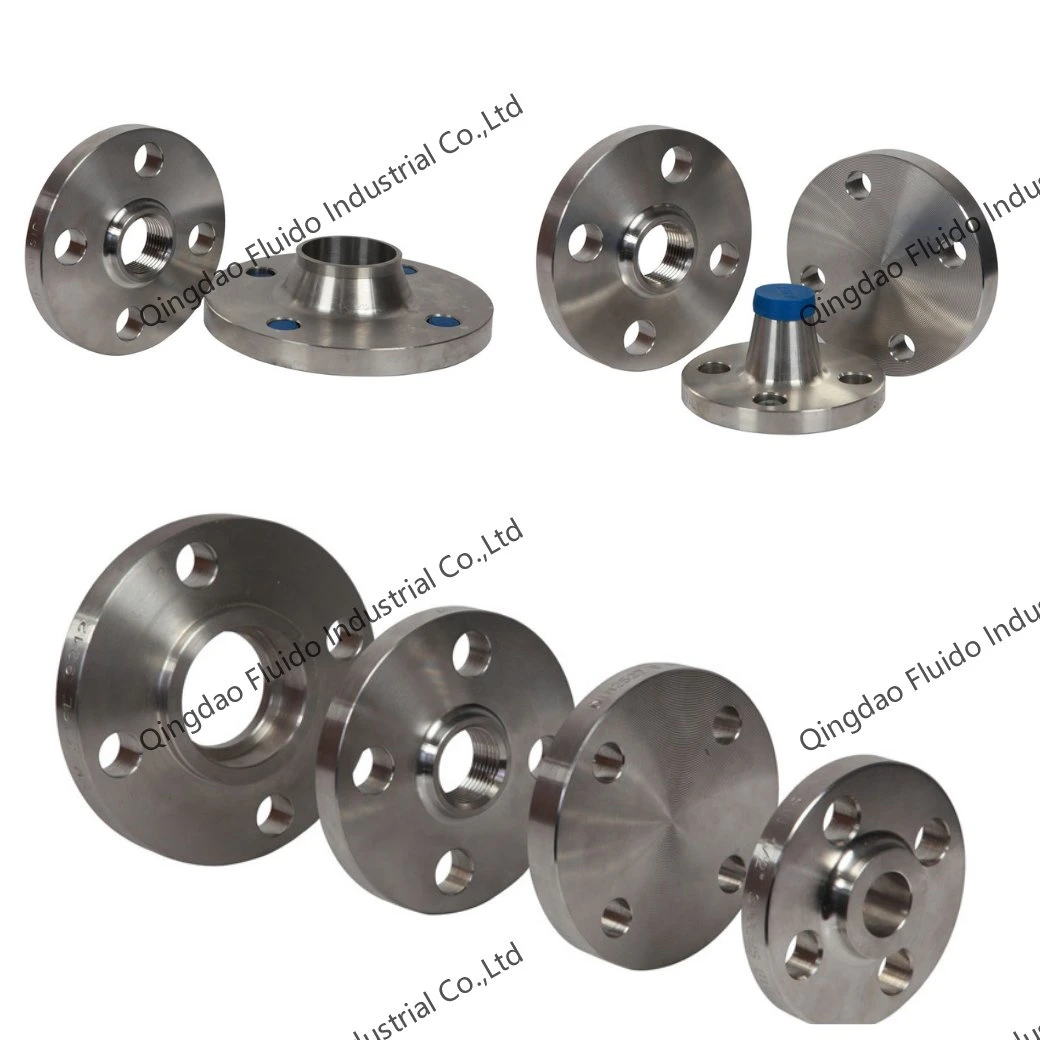 DN250 Class 150/ 300 Forged Flanges with The Best Price