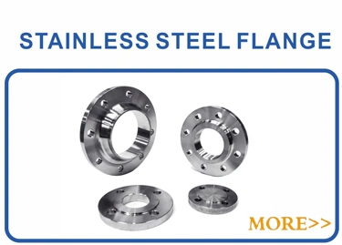 ANSI 150# 300lbs 600 Class RF Forged Stainless Steel Blind Flange for Pipe Connection