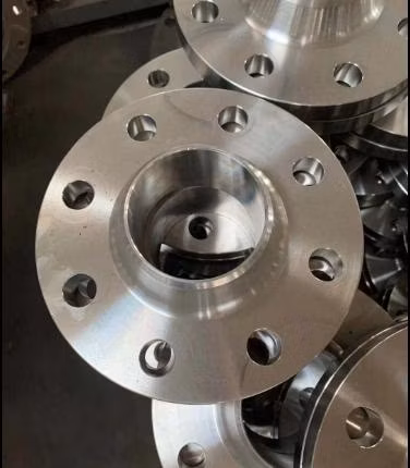 ASME ANSI DIN GOST BS En RF FF Rtj 150#-2500# 티타늄/탄소강/스테인리스강/합금강 단조 Wn/So/스레드/플레이트/부싱/블라인드 플랜지