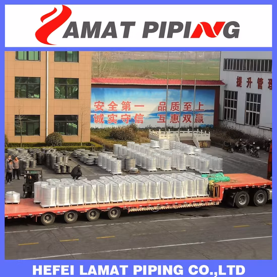 ASTM/DIN/BS4504/GOST/SABS/JIS/En 단조강 용접 넥 Wn 플랜지