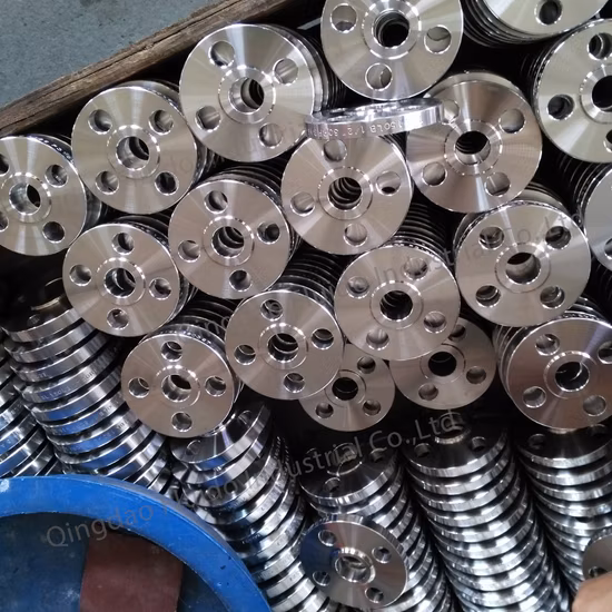 ASME ANSI B16.5 DIN En1092-2 GOST 표준 블라인드/슬립온/웰드 넥 플랜지 제조업체에 따른 스테인레스강/탄소강 수도관 플랜지